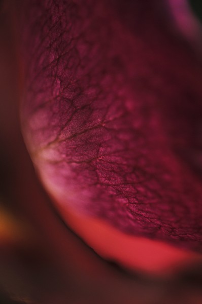 © Jacques Beun - 7.jpg - protected by IMATAG