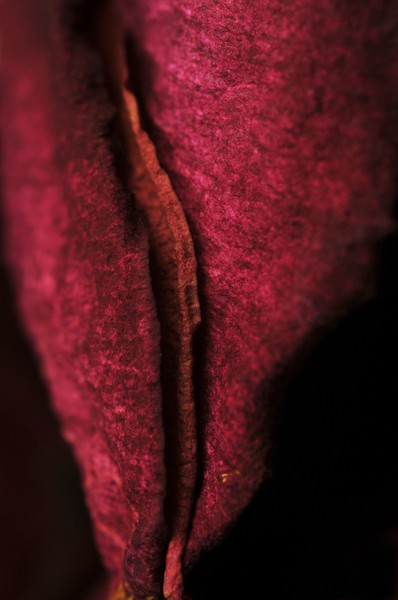 © Jacques Beun - 10.jpg - protected by IMATAG